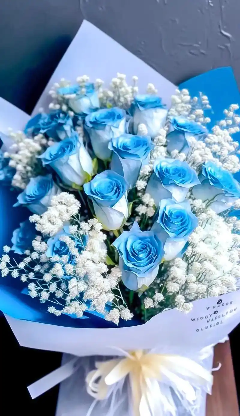 "有一种玫瑰叫碎冰蓝,有一个很浪漫的花语: 我送你的希望是星 - 抖音