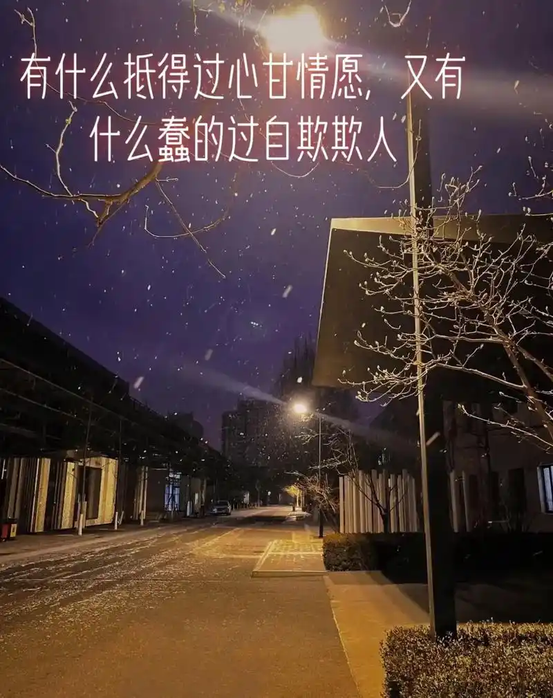 有什么抵得过心甘情愿,又有什么蠢得过自欺欺人!心灰意冷的那一刻