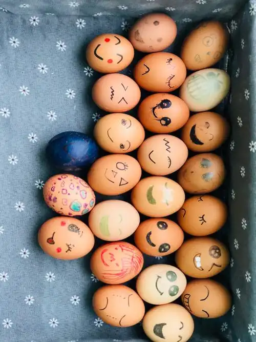 学做一个心存感激的人,今天在幼儿园进行了一次有意义的"护蛋"行动