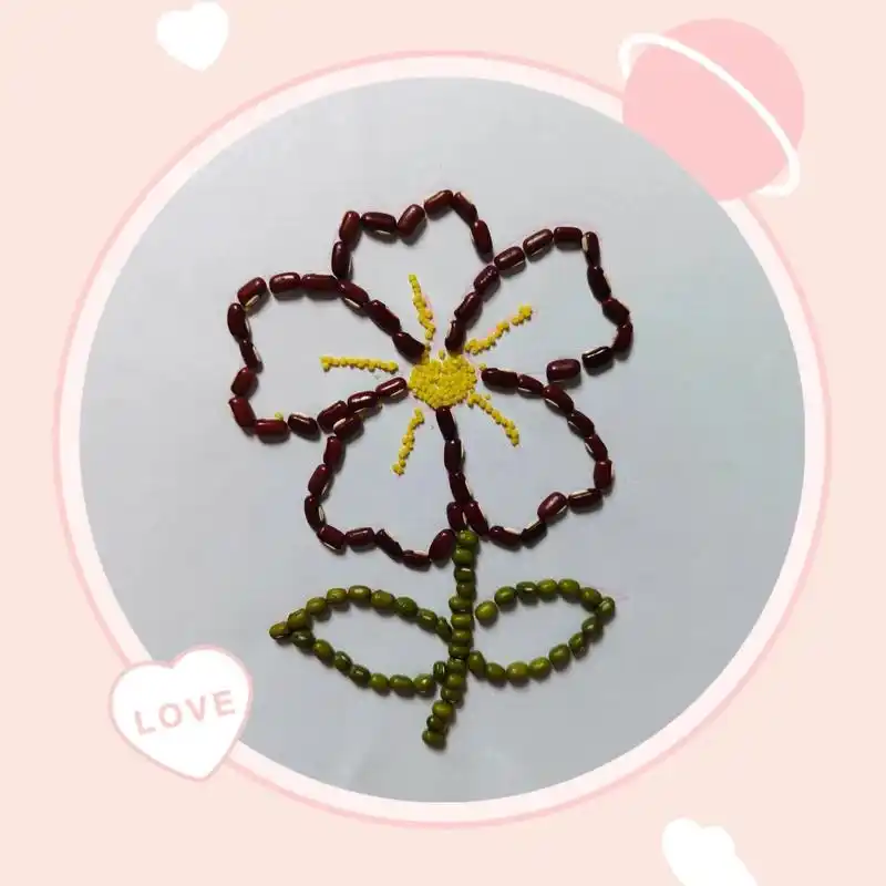 创意手工豆类种子粘贴画