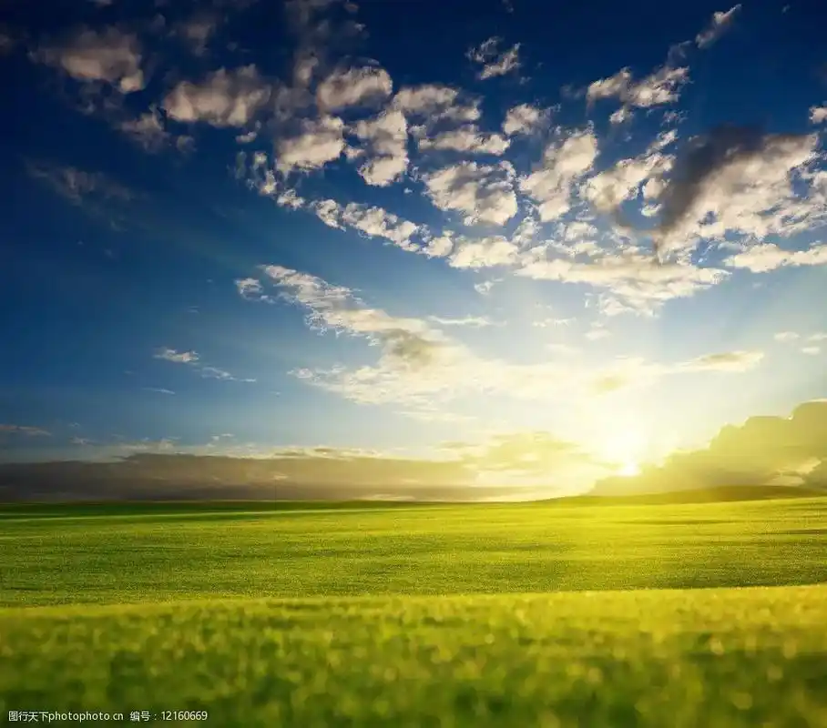 迎着早上阳光向着太阳奔跑,治愈所有病痛和烦恼,加油! - 抖音