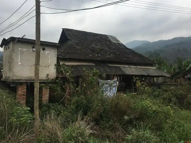 勐海县布朗山乡道路旁土地出售