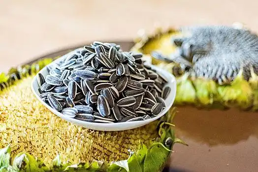 生瓜子图片_生瓜子图片大全_生瓜子图片素材