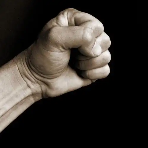 fist拳头币价格 fist拳头币涨到多少呢