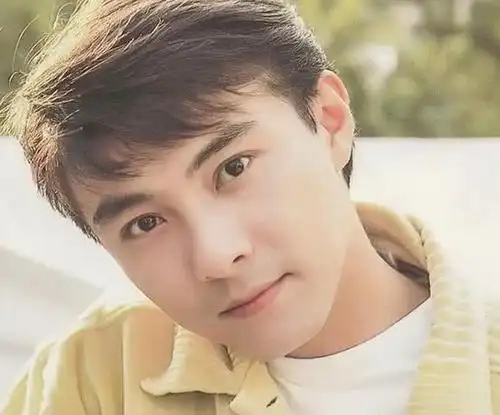 公认香港最帅的4位男星,刘德华垫底,最后1位无人超越!