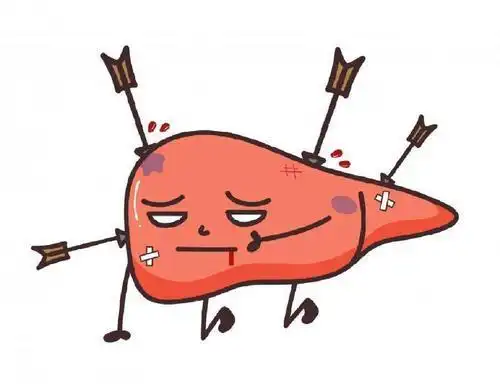 养肝"冠军"已发现,不是胡萝卜,平时常端上餐桌,肝脏或感激你