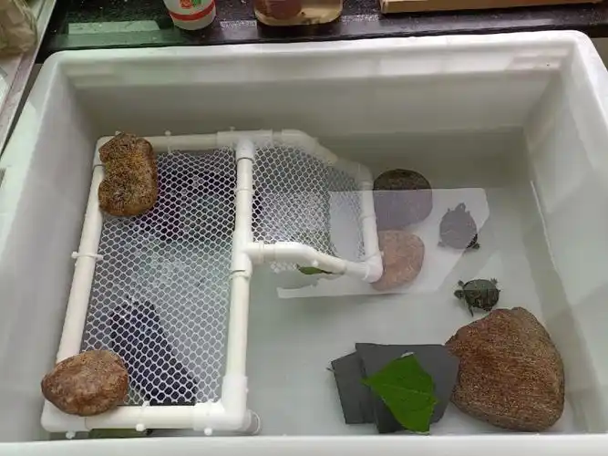 分享一下自制乌龟晒台