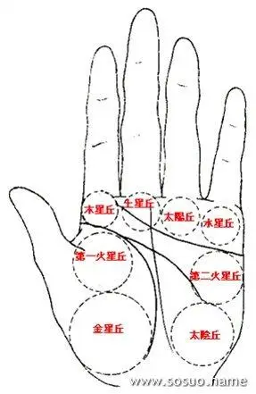 【佛滔教学】最受欢迎的女性手相