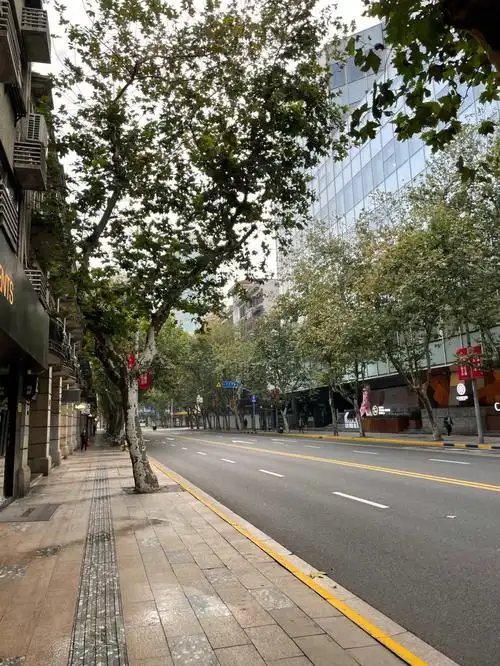 清晨的淮海路