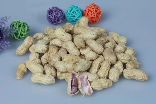 乐硒水煮白晒红衣花生一斤装