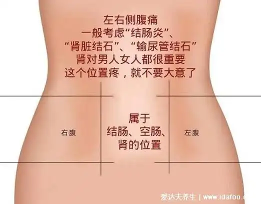 身体各部位疼痛对照图,包括腹部/腰部/背部疼(左上腹小心胃病)