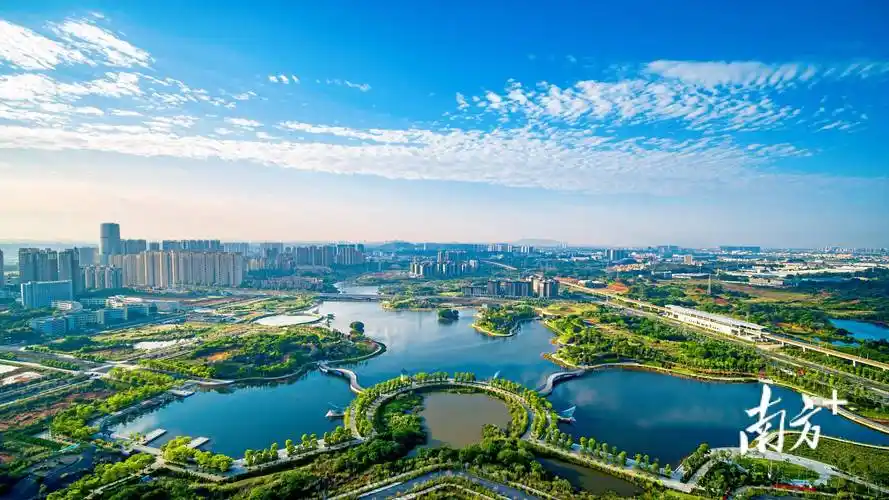 佛山最大的"潜力股"在这里?_罗村_城市_生活