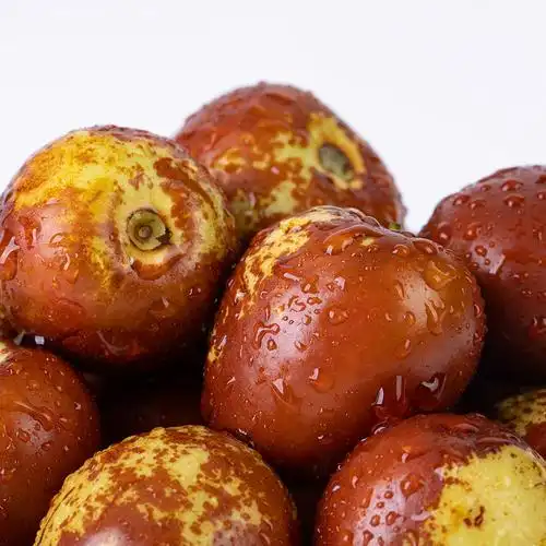 山东沾化冬枣5斤枣子新鲜当季水果脆枣鲜枣枣