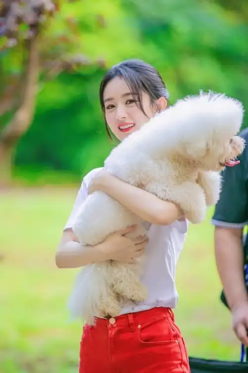 赵丽颖 小年快乐