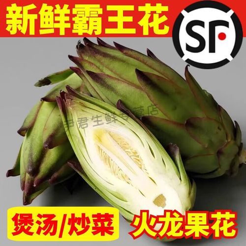 酒店特色食材霸王花火龙果花剑花新鲜蔬菜花苞菜煲汤食材空运 广东