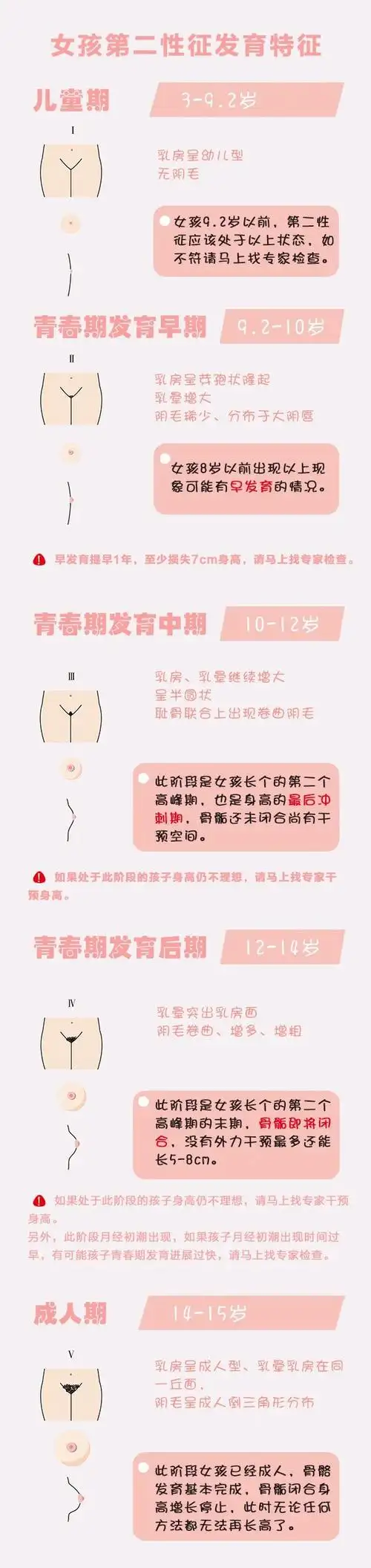 第二性征的发育特征和芳华期历程芳华期是指儿童青少年在生长发育过程