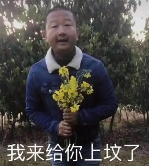 怼人表情包|怎样不带脏字地怼人?