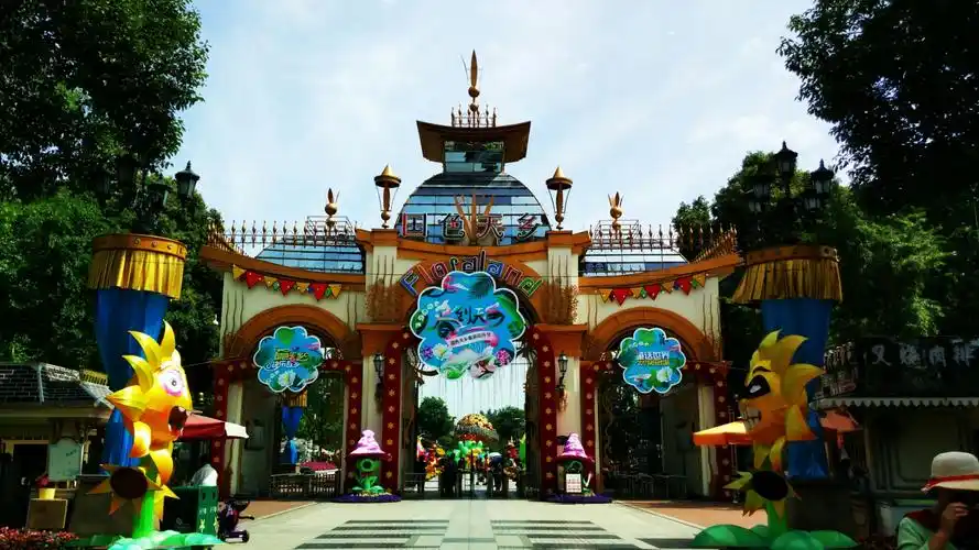 国色天香原本是孩子们的乐园,因为鲁冰花在此盛开,成了我们爱花人徜徉