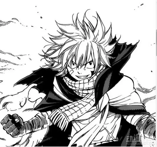 阿库诺洛基亚与纳兹是什么关系