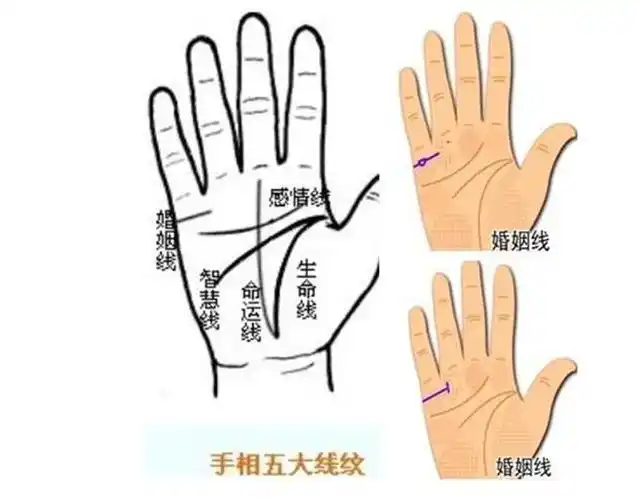 那么,你的婚姻是怎么样的呢?伸开手依男左女