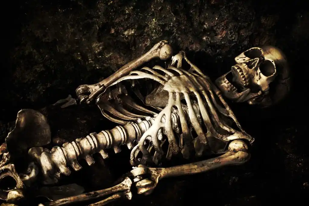 骨架,躺在浅的坟墓在万圣节的骨架