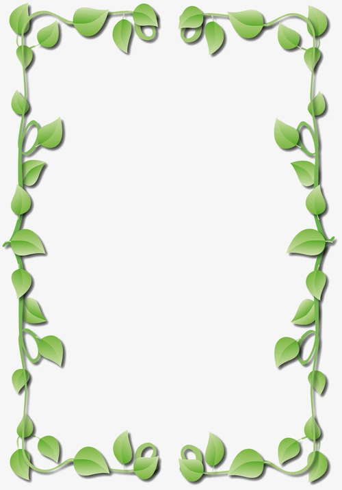 清新简约树叶藤蔓边框
