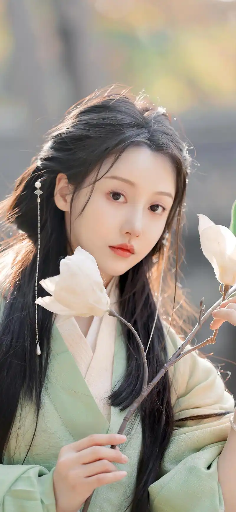 古言:《嘉宁长公主》《诱卿归》《夫人多妩媚》