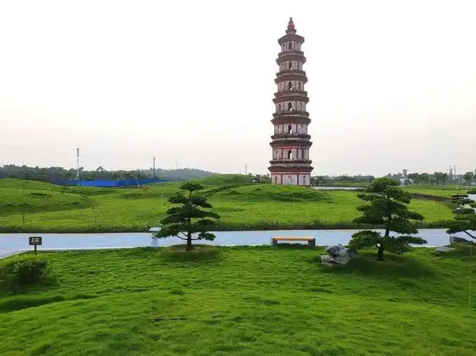 黄花风铃木就要开花了快来文昌塔下踏春吧