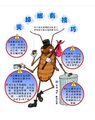 灭蟑螂的方法大全
