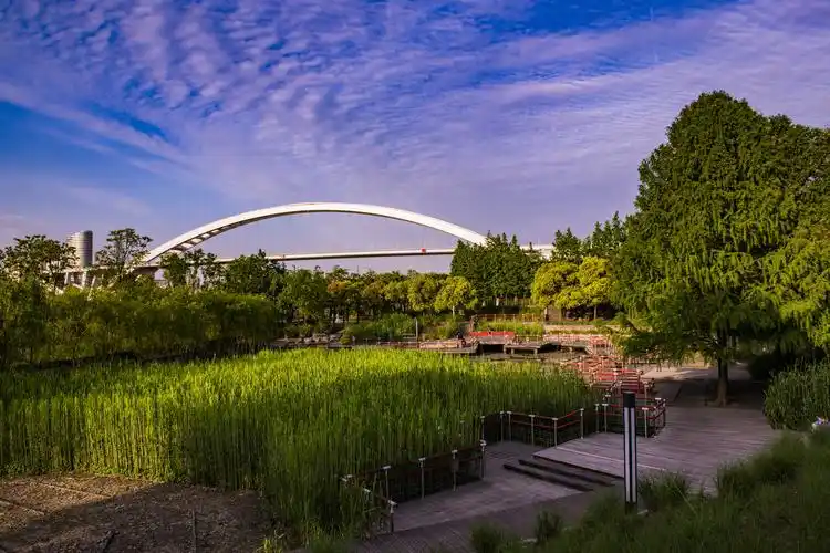 2019年上海公园实拍(六) - 夕阳下的浦东后滩公园