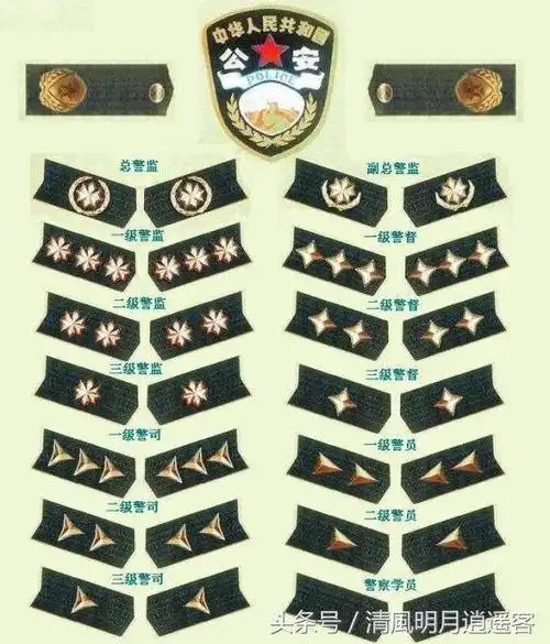 九二式警衔,我国第一次警衔制度,为何3年后就被废除?_手机搜狐网