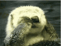 新台风 冷空气=雨雨雨雨雨