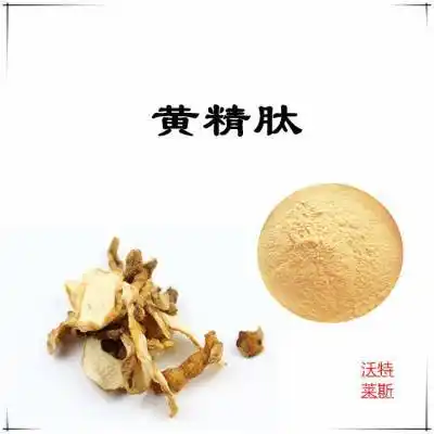 沃特莱斯生物 黄精肽 小分子低聚肽 多糖 淡黄色粉末