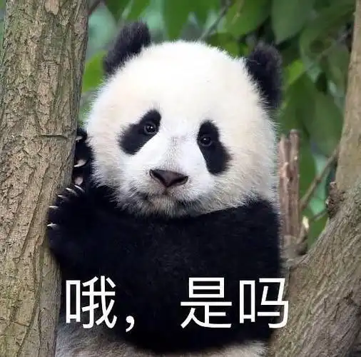浠墨的相册-大熊猫表情包