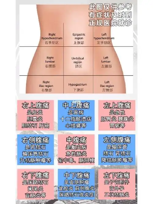 1分钟教你看懂腹痛原因对比一下你自己