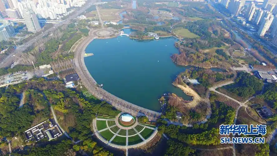航拍世纪公园上海市中心的一片绿洲