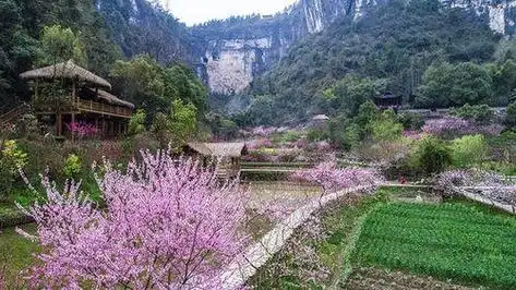重庆酉阳桃花源-----游览的完美去处