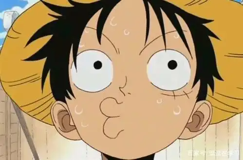 路飞是个搞笑的家伙!