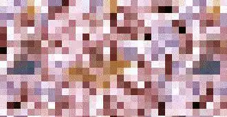 多人啪啪gif动态图出处,3p动态图出处大合集第127期 – 找gif出处上&