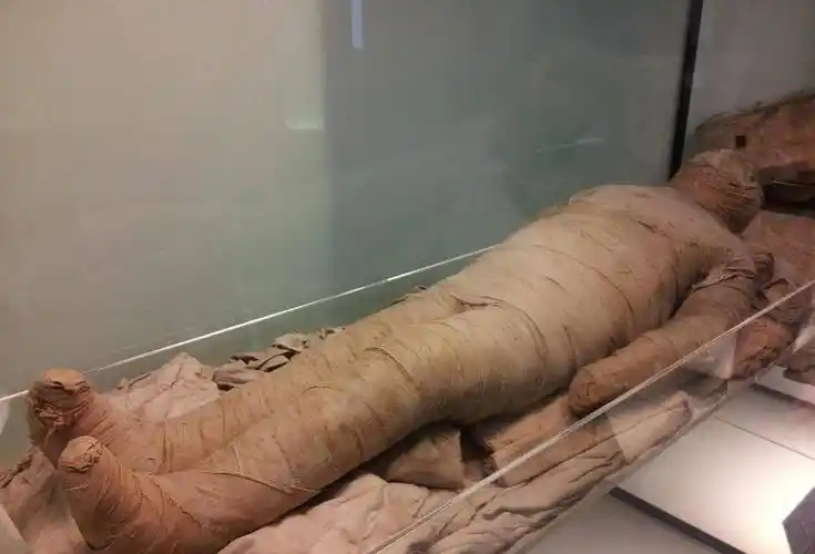 波兰发现一具古埃及的怀孕木乃伊,腹中胎儿死前已经发育至28周