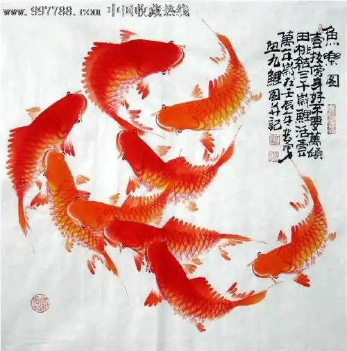 何奕勇·四尺斗方九鱼图,花鸟国画原作,虫鱼画原画
