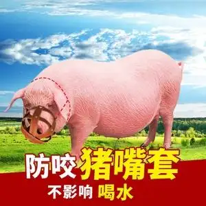 猪嘴套母猪防咬套嘴笼子猪嘴罩套强小猪仔猪防咬神器母猪专用牛.