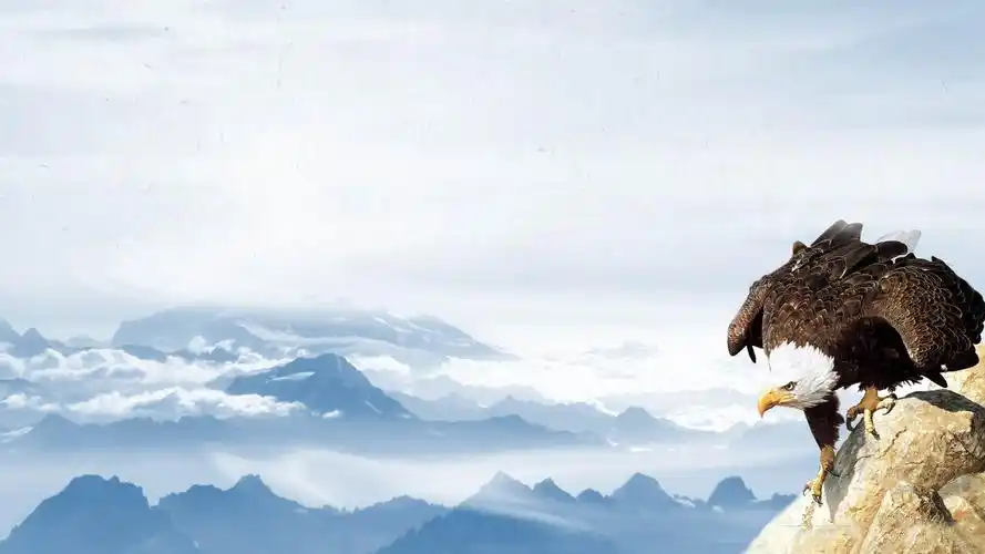 老鹰群山幻灯片ppt模板素材下载_ppt背景_艾奥云办公室