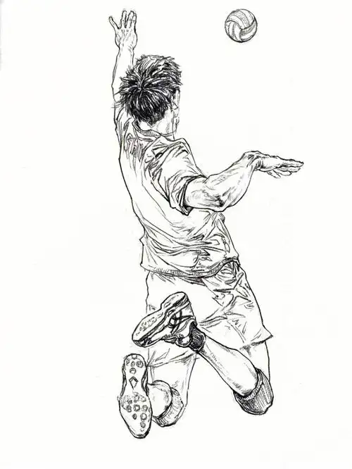 速写线描排球扣击no135