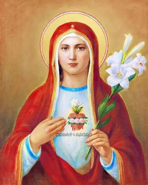 图文【圣母圣心】美丽圣心活水泉|6月09日|11张高清圣心圣像_网易订阅