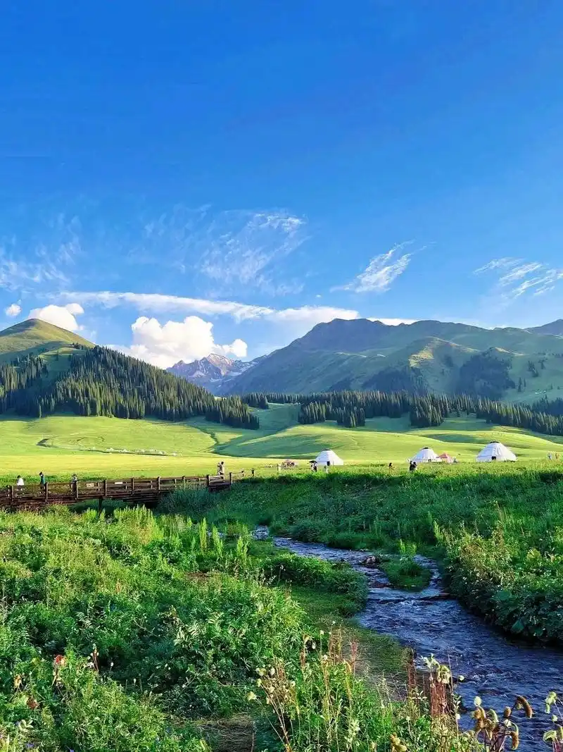夏天92新疆伊犁98真的好像漫画里的样子 新疆伊犁的夏季美景在我