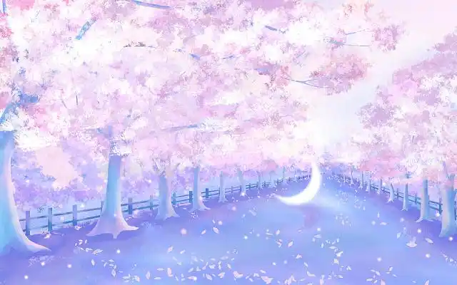 唯美手绘樱花林樱花大道樱花树插画海报背景写实樱花林插画