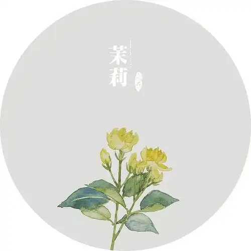 人五-茉莉