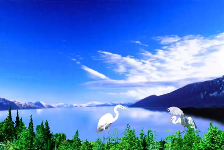 山水湖泊仙鹤蓝天白云5d动画桢幅光栅立体画序列图背景墙