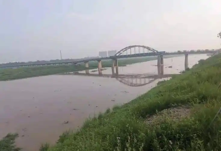 临清卫运河最新水情